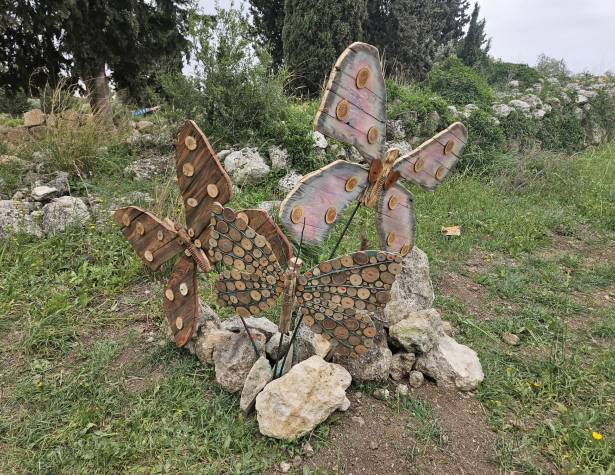 מיצג מתוך התערוכה אמנות בין הברושים מיצג מתוך התערוכה אמנות בין הברושים