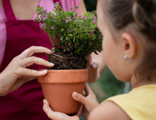 מצמיחים לדורות
