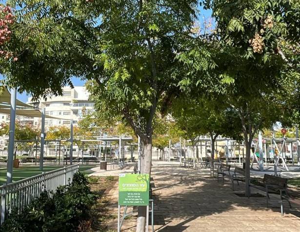 עץ המוצצים בשכונת נופים