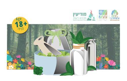 EARLY WINTER FORAGING WALK  in the Community Fores