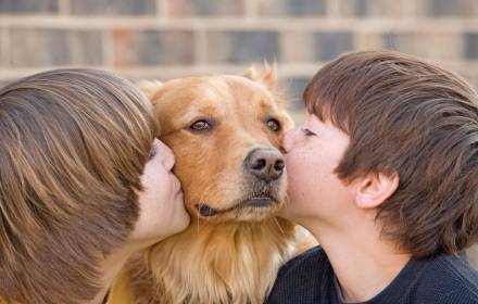 לקרוא עם חבר על ארבע לכיתות ב'-ד' (3)
