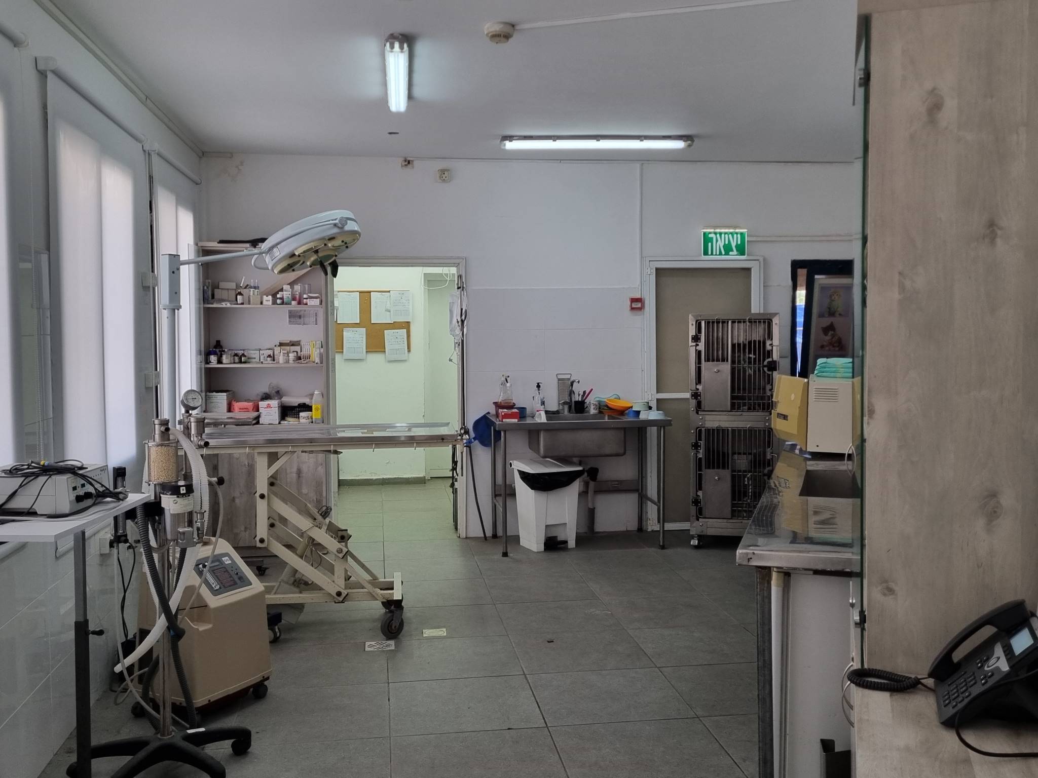 חדר ניתוחים בשירות הווטרינרי העירוני