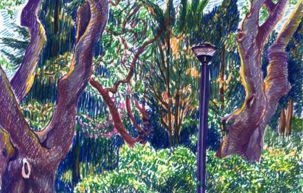 החוויה המודיעינית: בין צילום לרישום בגבעת התיתורה 