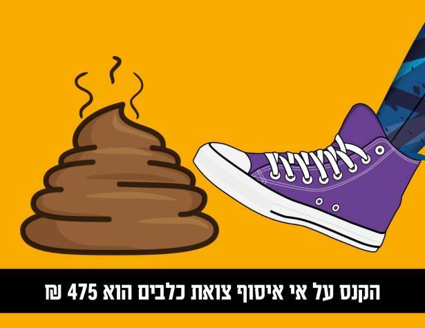 ניו מדיה ניקיון ניו מדיה ניקיון