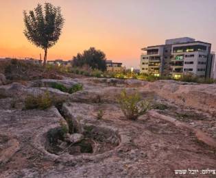 Hasmonean Heritage Conference