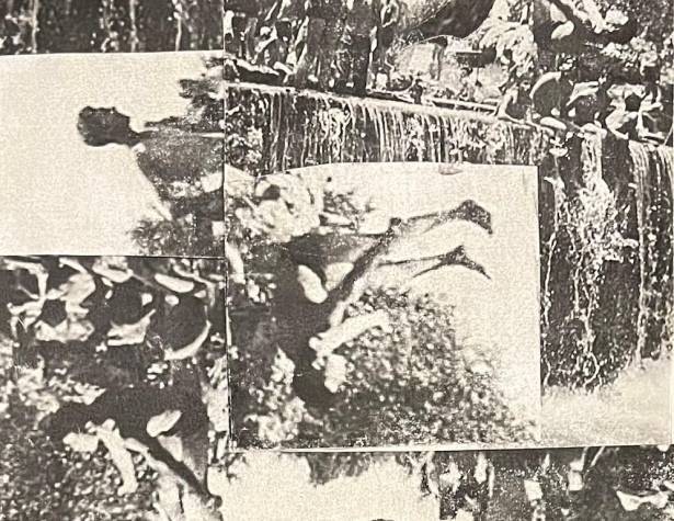 דימוי: חגי לוריא