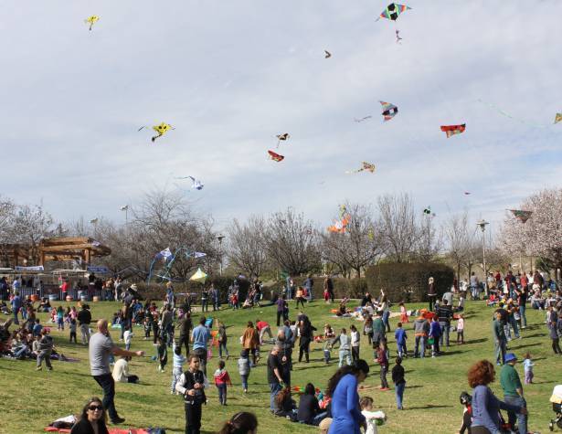 העפיפוניאדה חוזרת – תמונת המחשה