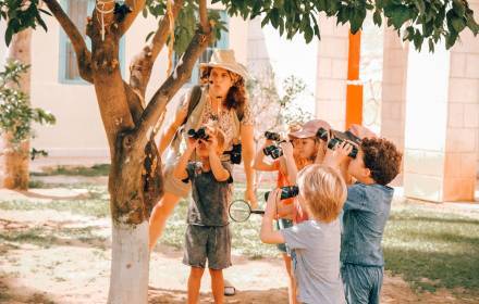 הספארי הנסתר - סיור תיאטרלי-מיניאטורי