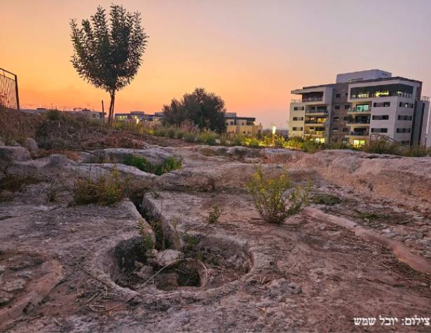 מבט מגבעת אשון. צילום: יובל שמש