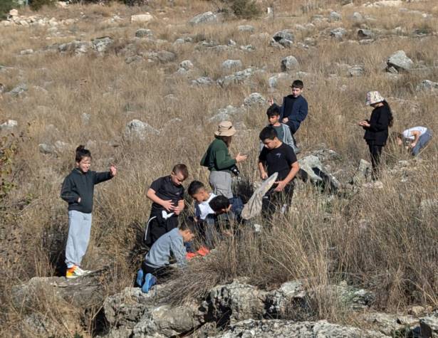 תכנית חינוכית בנחל ענבה