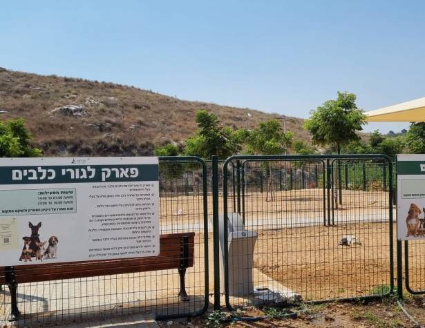 גינת הכלבים בשדרות מנחם בגין גינת הכלבים בשדרות מנחם בגין