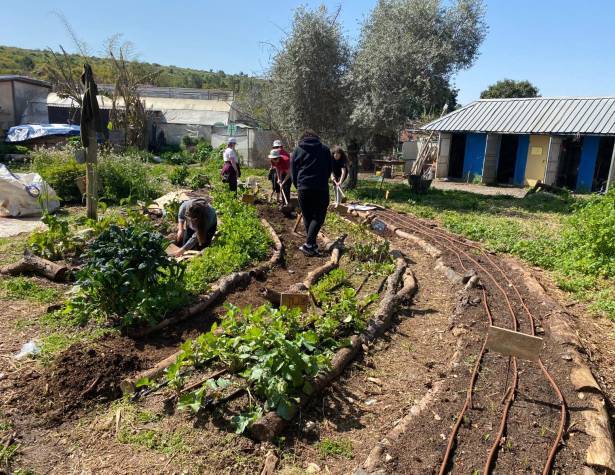 החווה האקולוגית ''חווה ואדם''