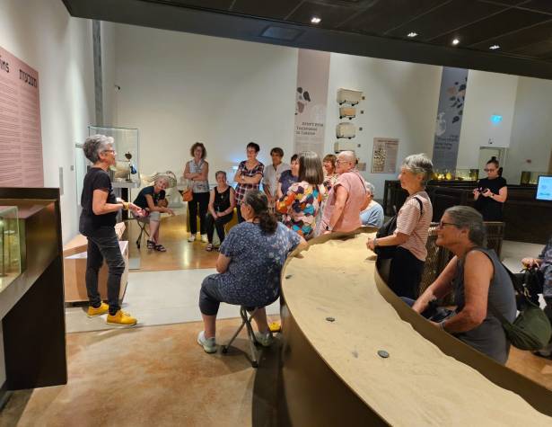 ביקורים במוזיאון החשמונאים ביקורים במוזיאון החשמונאים