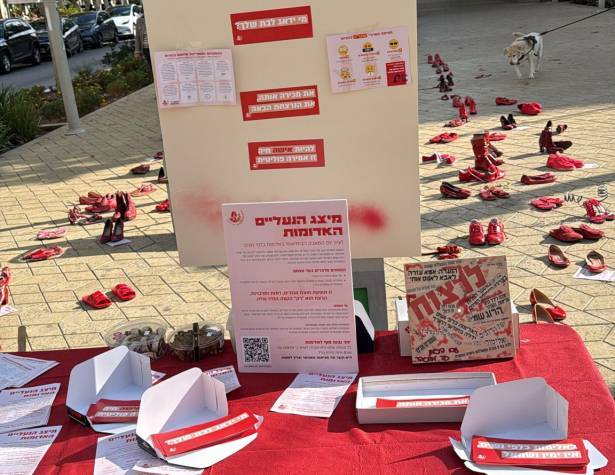 מיצג "בונות אלטרנטיבה" מיצג "בונות אלטרנטיבה"