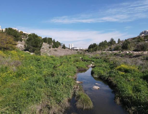 ואדי ענבה ואדי ענבה