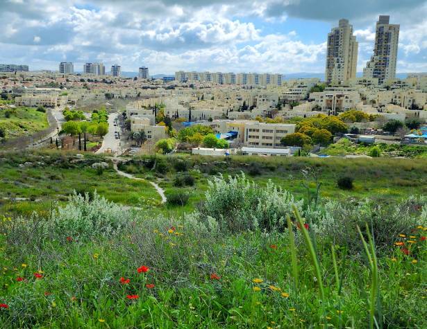 תמונת המחשה