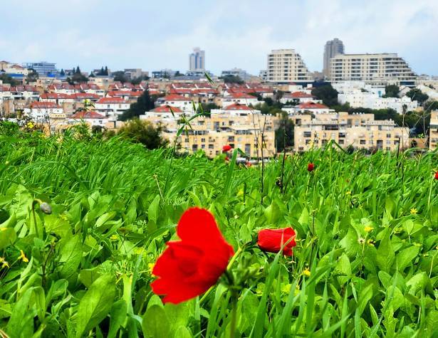 תמונת המחשה
