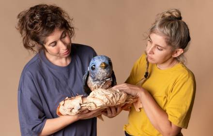 ציפורה – הצגה חושית ומוזיקלית 