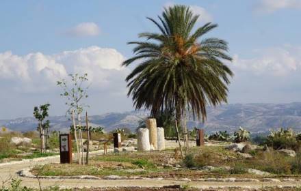 סדנת צילום ורישום