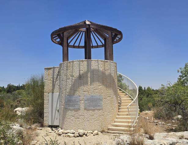 מצפה עפרה אורבך ביער מכבים